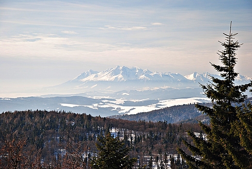 widok na Tatry