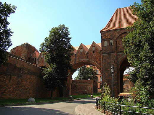 Zamek Krzyacki Toru