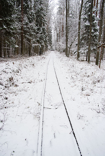 Zimowe klimaty Suwalszczyzny