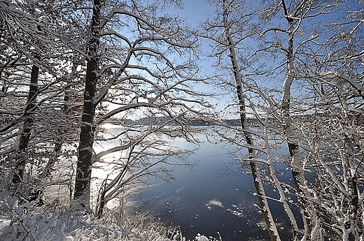 Zima na pojezierzu brodnickim. Sosno.