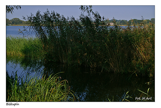 Biskupin - Jezioro Biskupińskie