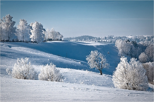 Suwalski Park Krajobrazowy - okolice jez.Szurpiy.