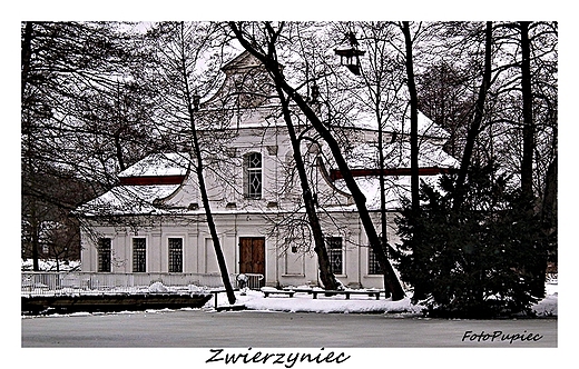 Zwierzyniec, koci na wodzie