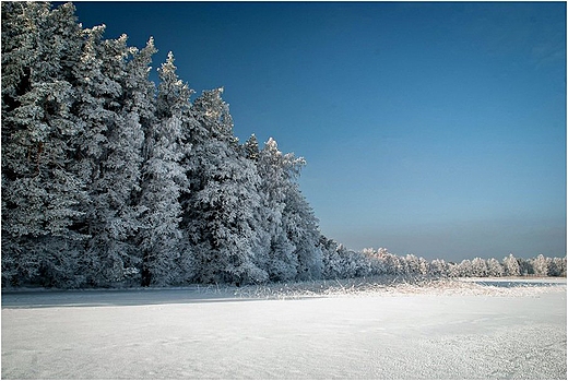 Las nad Wigrami - Zatoka Supiaska.