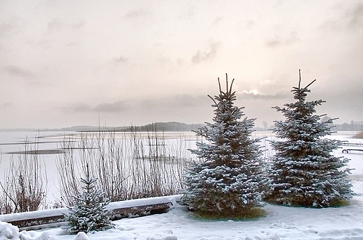 Mazury zim.