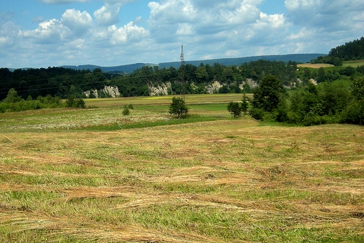 Zwierzy - Skaki Myczkowieckie