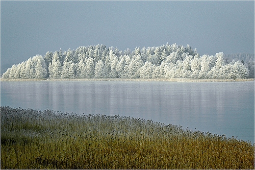 Jez.Wigry - wyspa Ordw.Widok z p.widokowego w Bryzglu.