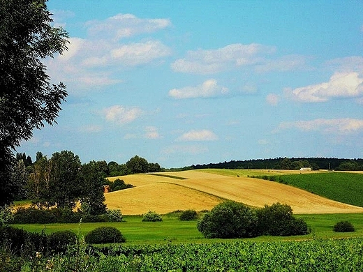 Moje klimaty-poniwny czas...