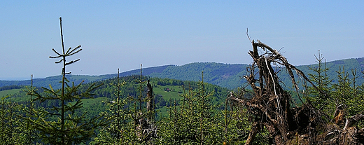 Pejza ze szczytu Malinw  1117 m.