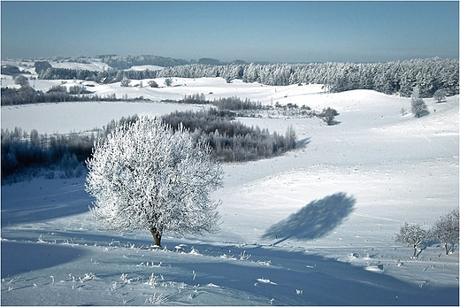 Suwalski Park Krajobrazowy.W gbi jez.Linwek.