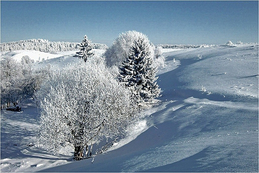 Suwalski Park Krajobrazowy