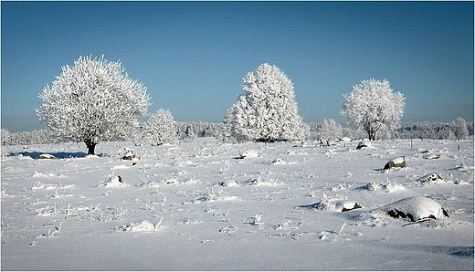 Suwalski Park Krajobrazowy - gazowisko Rutka.