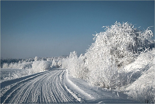 Suwalszczyzna zim.