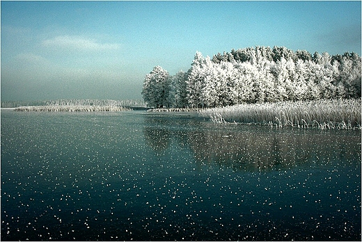 Jezioro Wigry - wyspa Ostrw.