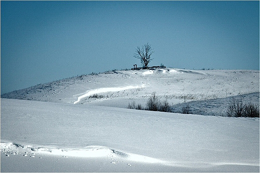 Suwalszczyzna zim.