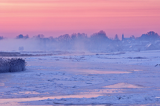 Prawie zamarznita Narew