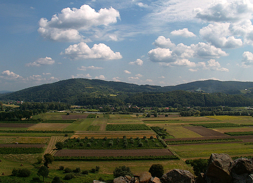 Widok z Baszty w Czchowie - Piaski Drukw