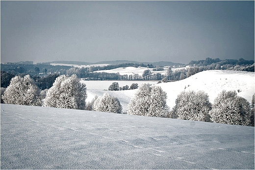 Suwalski Park Krajobrazowy - okolice jez.Szurpiy.