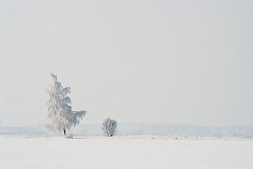 Zimowe klimaty Suwalszczyzny