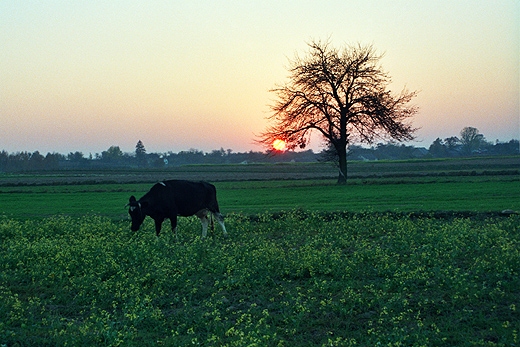 Stary Rzdkw. Mazowsze