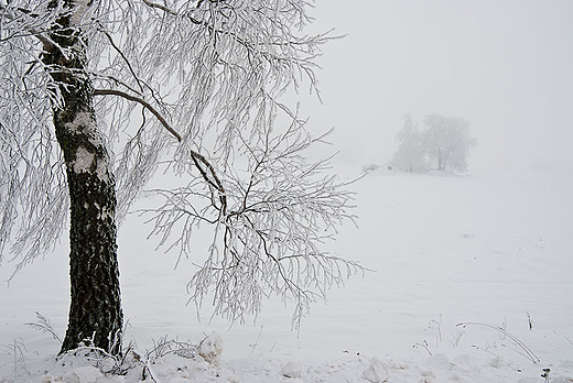 Zimowe klimaty Suwalszczyzny