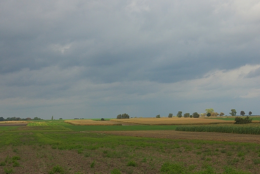 Kuchary - okoliczne pola