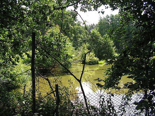 staw rybny pana Lisa na Osowiu 07.2011