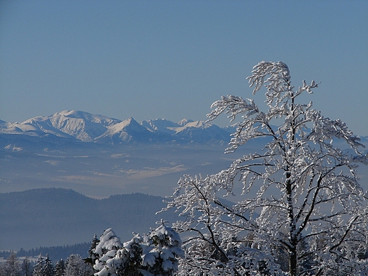 Beskidy zim