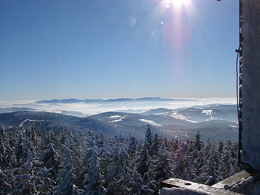 Widok z Radziejowej