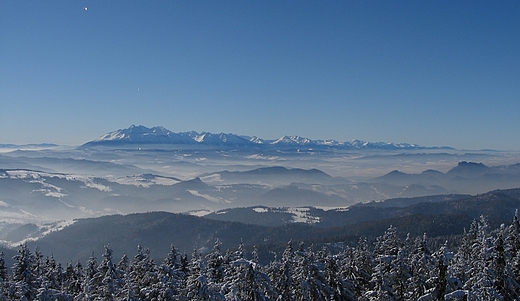 Widok z Radziejowej. Beskid Sdecki