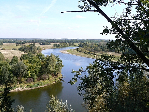 Podlaski Przeom Bugu - widok na Bug