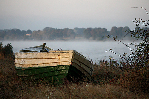 Mikoszewo - nad brzegiem Wisy