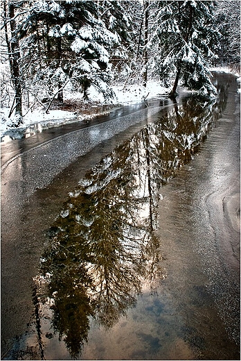 Rzeka Kamionka w Leszczewie.