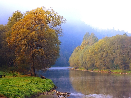 Jesienny Dunajec