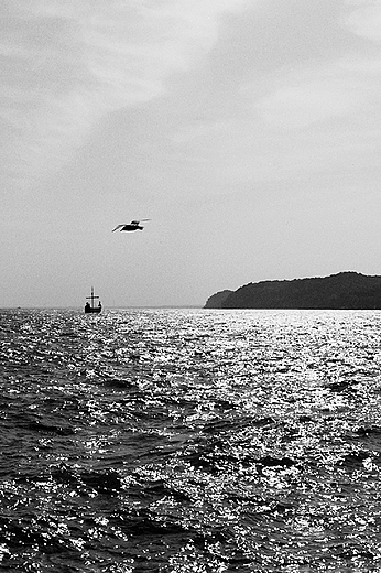 Gdynia - widok z przystani jachtowej w kierunku wschodnim