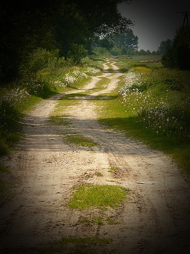 Pilczyca. Zaufaem drodze...