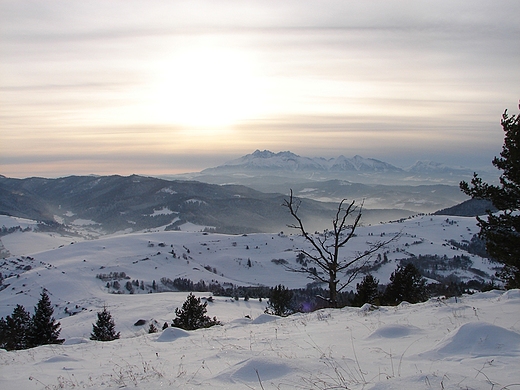 Widok z Wysokiego Wierchu