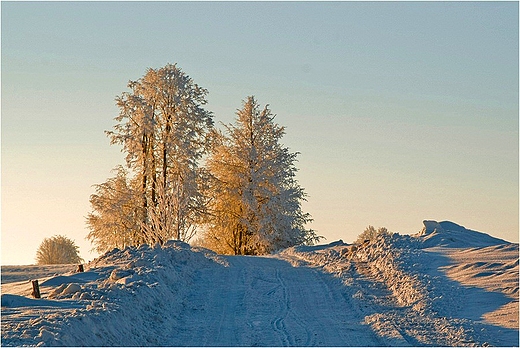 W Suwalskim Parku Krajobrazowym.