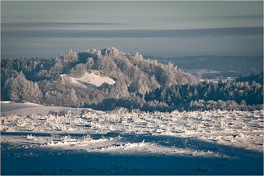 Suwalski Park Krajobrazowy - w gbi Gra Zamkowa.