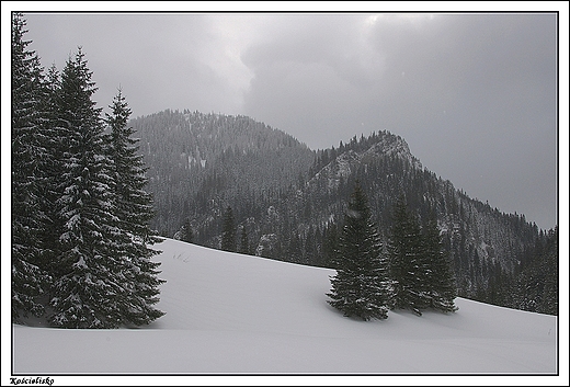 Kocielisko - Dolina Kocieliska, Polana Pisana, Zbjnicka Turnia