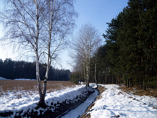 zima na Podlasiu