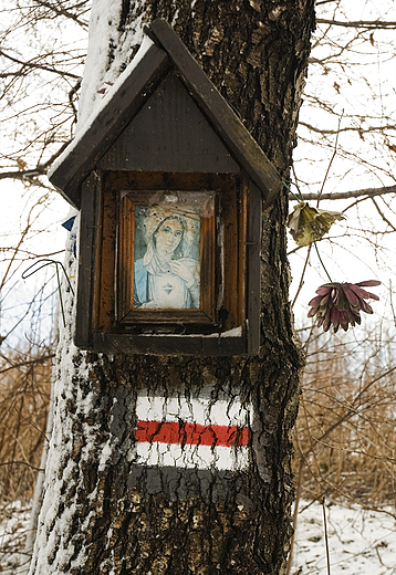 kapliczka nadrzewna na szlaku na Czupel