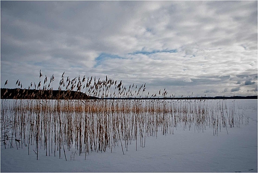 Jezioro Wigry - Zatoka Supiaska.