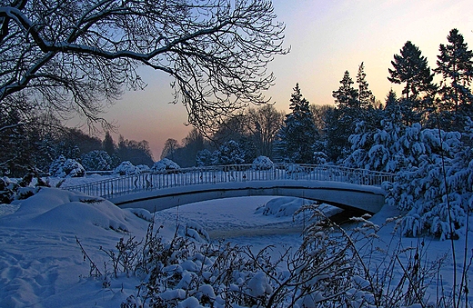 Park im. Poniatowskiego w odzi