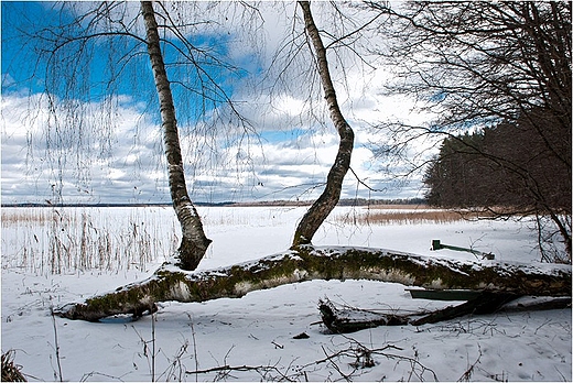 Jezioro Wigry - Zatoka Supiaska.