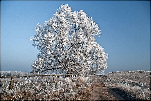 Nad jeziorem Mulaczysko.