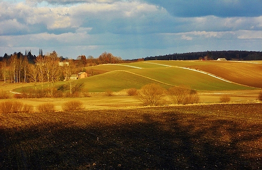 Przedwiosenne pagrki