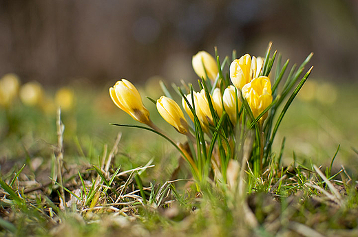 Park Kasprowicza