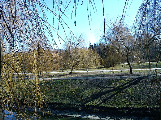 Park im.Szarych Szeregw