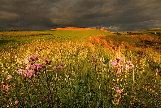 Podlasie